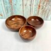 Plain Glossy Brown Wooden Bowl Set of 3 Pcs - SH1009